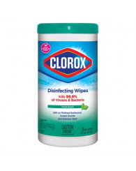 Lingettes désinfectantes pour mains/surfaces Purell/Clorox (75 à 80 lingettes) (selon la disponibilité)