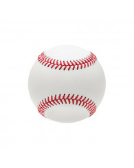 Ice pack (bloc réfrigérant) paquet de 2 - Baseball - GEO