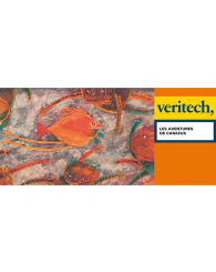 Veritech - Les aventures de Carafus (4048336)