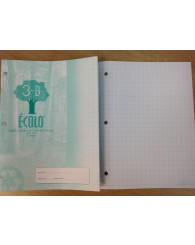 Grand cahier d'exercices quadrillé (1 cm X 1 cm) (40 pages) ÉCOLO 3B