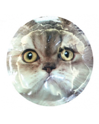 Ice pack (bloc réfrigérant) paquet de 2 - Chat - GEO
