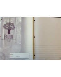 Grand cahier de projets (chaque page: 1/3 interlignée 3 mm au bas et 2/3 blanche) (40 pages) ÉCOLO 6A