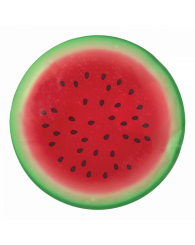 Ice pack (bloc réfrigérant) paquet de 2 - Melon d'eau - GEO