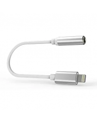 Adaptateur pour câble Lightning vers prise jack femelle 3,5 mm (auxiliaire) PROFLASH (no IP551-ADAPT) 
