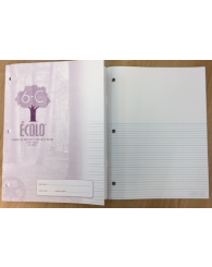 Grand cahier de projets (plusieurs interlignes de 5 mm avec pointillés au bas et le reste de la 1/2 page blanche) (40 pages) ÉCOLO 6C