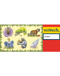 Veritech - Ani-mots (4045514)