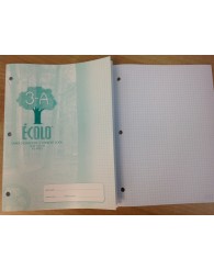 Grand cahier d'exercices quadrillé (0,5 cm X 0,5 cm) (petits carrés) (40 pages) ÉCOLO 3A  