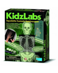Squelette humain luminescent - KidzLabs -4M (P3375F) (jusqu'à épuisement des stocks!)